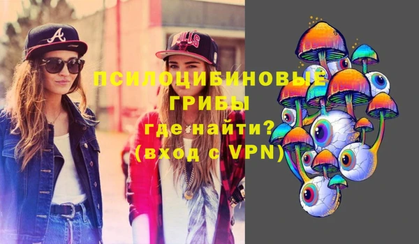 прущая мука Алзамай