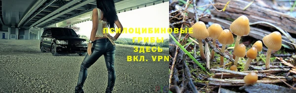 прущая мука Алзамай