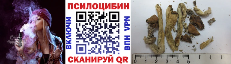 купить   Апрелевка  Галлюциногенные грибы MAGIC MUSHROOMS 